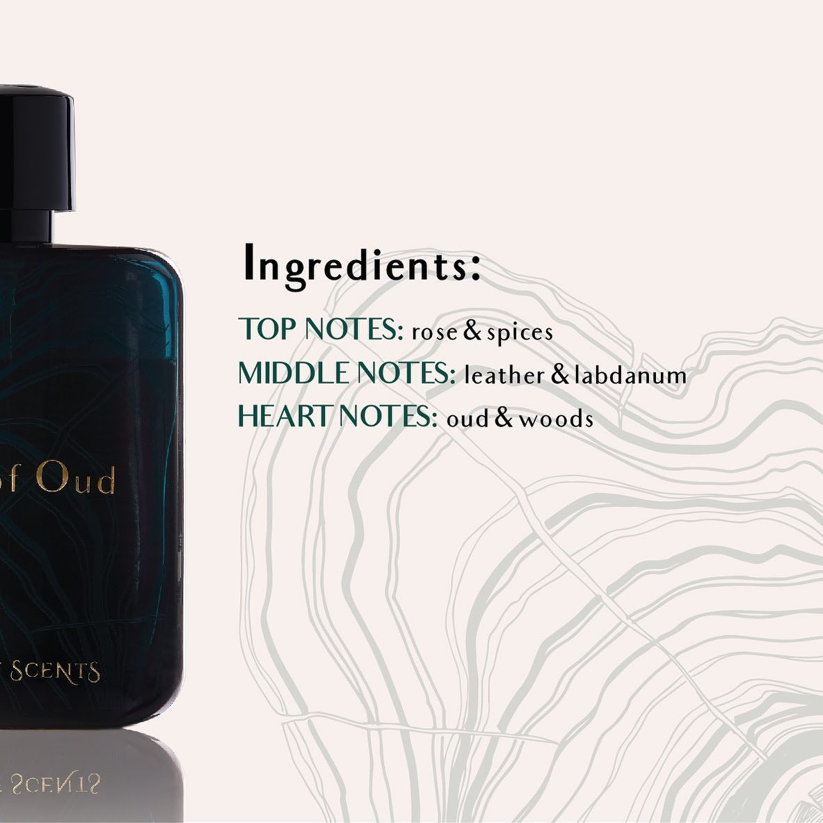 Sound Of Oud